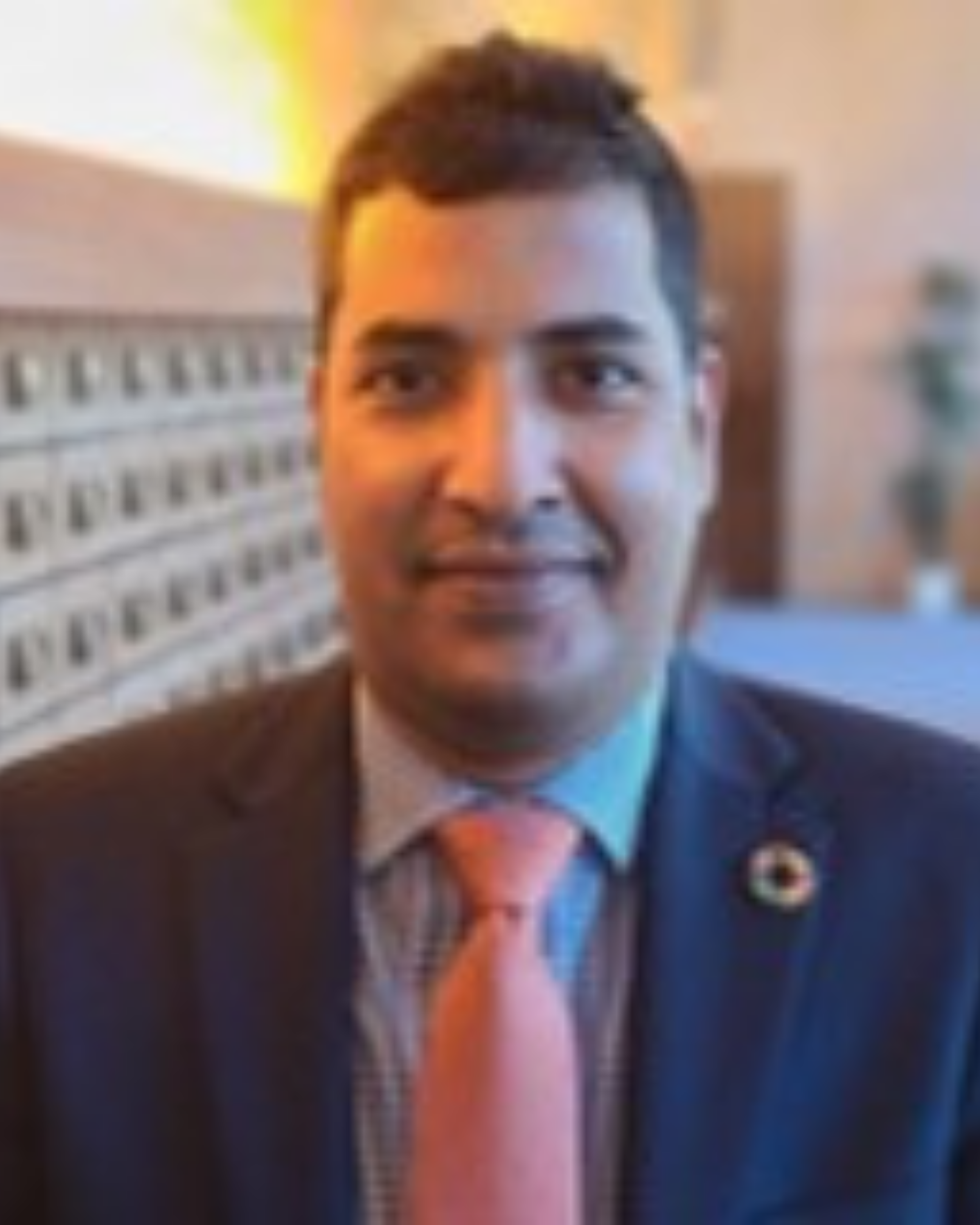 Mr. Lehbib Mohamedou
